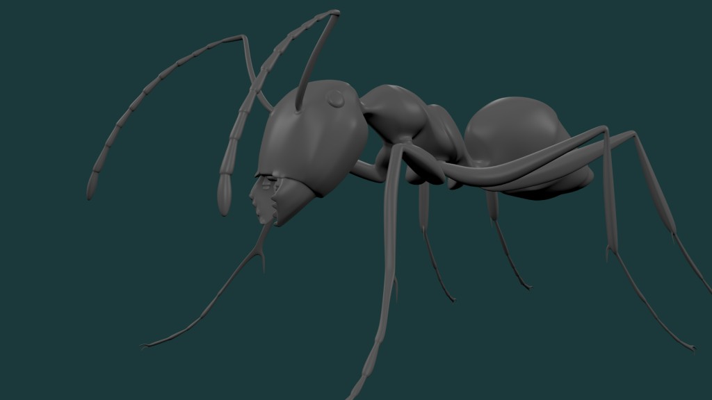 ant preview image 1
